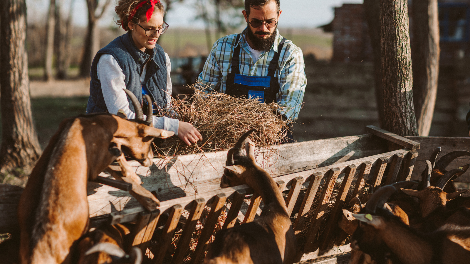 Măsura DR-14 Ferme de mici dimensiuni